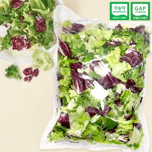 바른팜 대용량 샐러드 야채 1kg  / 스마트팜 유러피안 채소 샐러드